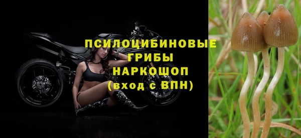 бошки Козельск