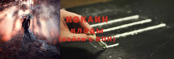 бошки Козельск
